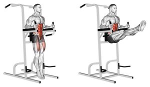 Hanging Leg Raises (Abs)