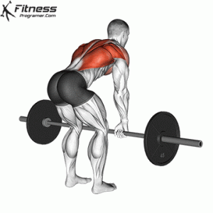 Barbell Row