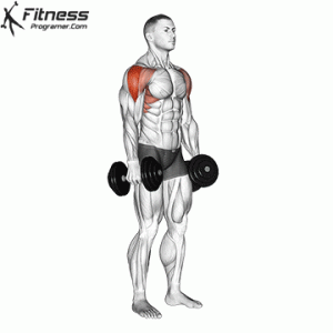 Dumbbell Lateral Raises