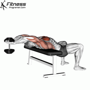 Dumbbell Pull-Over
