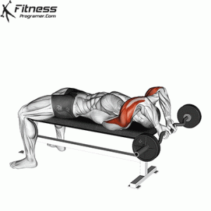 Dumbbell Skull Crushers