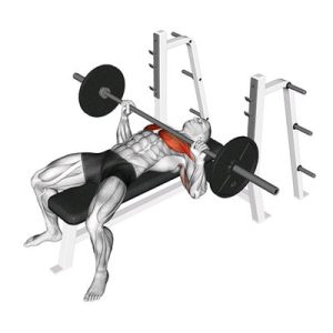 Barbell Bench Press
