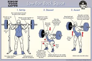 Barbell Back Squat