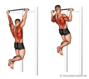 Weighted Pull-ups